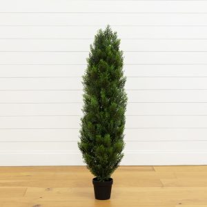 4' cedar tree silk tree (indoor/outdoor)
