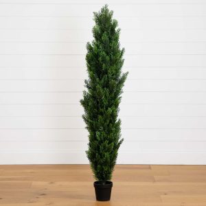 5' mini cedar pine tree (indoor/outdoor)