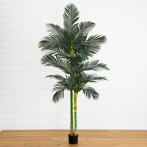8' golden cane palm silk tree